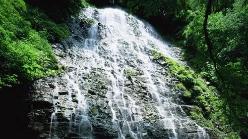 高标准精密